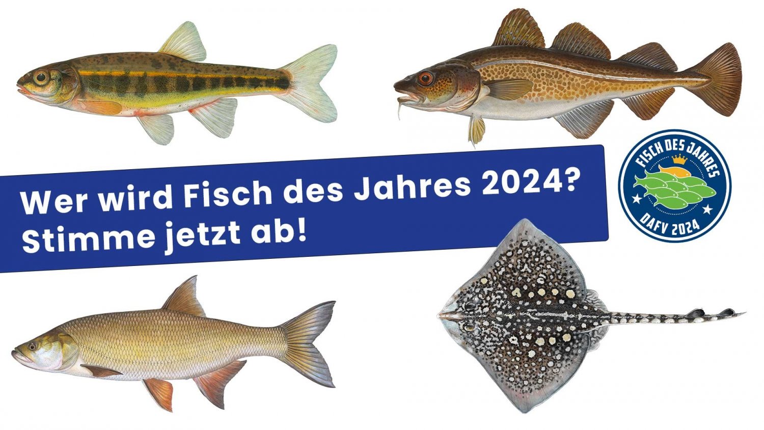 Mach mit ! Wähle den Fisch des Jahres 2024 !